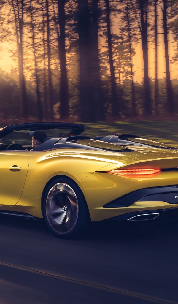 Желтый автомобиль Bentley Mulliner Bacalar 2020 года в лесу 
