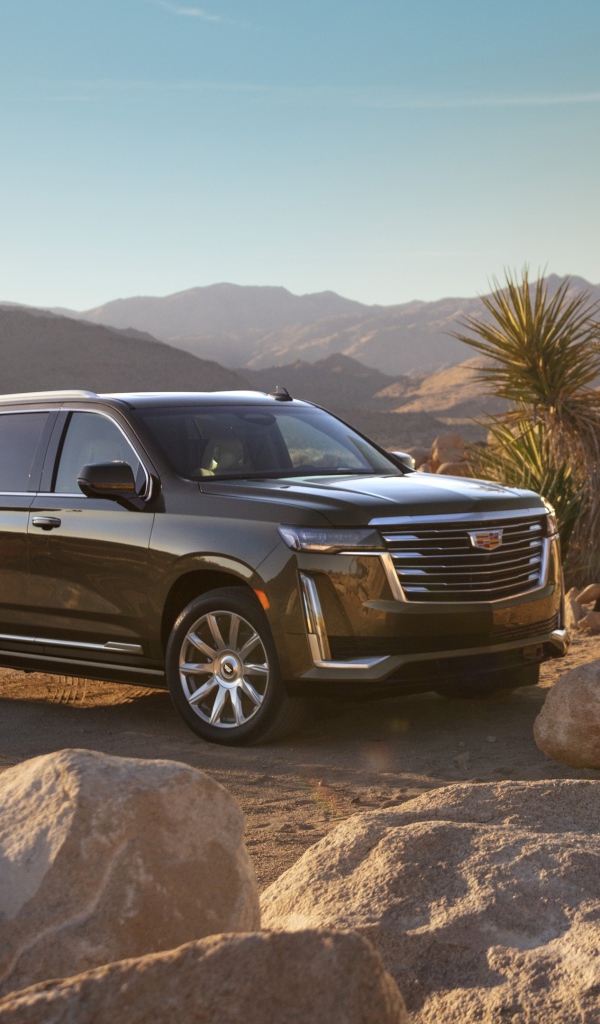 Черный внедорожник  Cadillac Escalade Platinum Luxury, 2021 года у камней