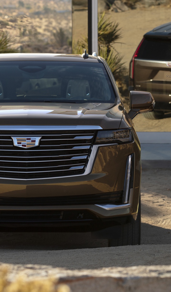 Автомобиль  Cadillac Escalade Platinum Luxury, 2020 года 