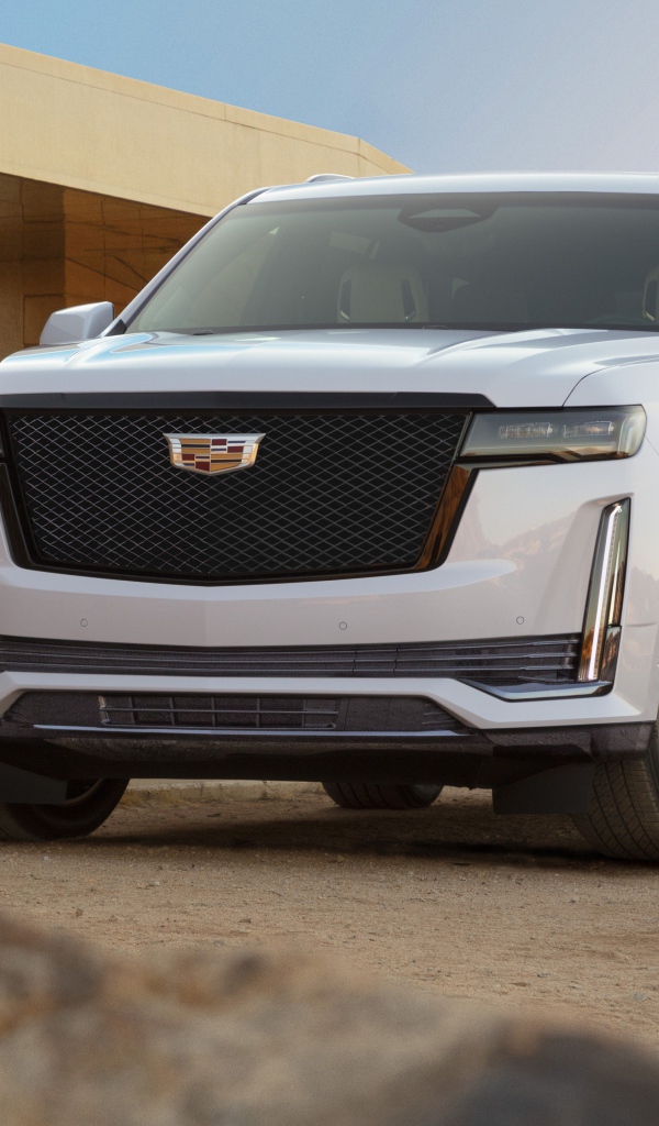 Внедорожник Cadillac Escalade Platinum, 2020 года у дома
