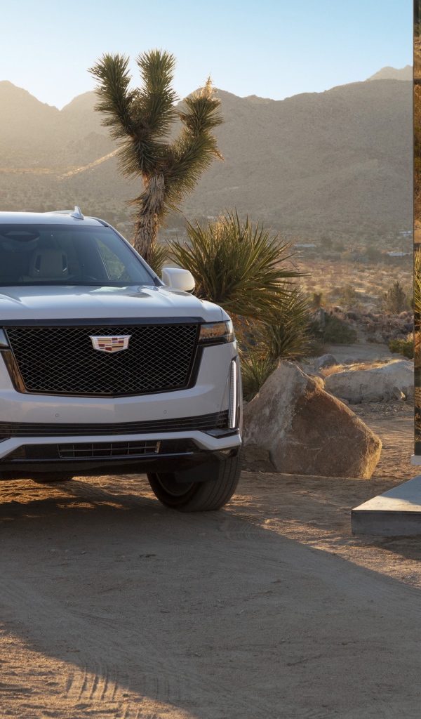 Внедорожник  Cadillac Escalade Platinum Sport, 2021 года у зеркального здания