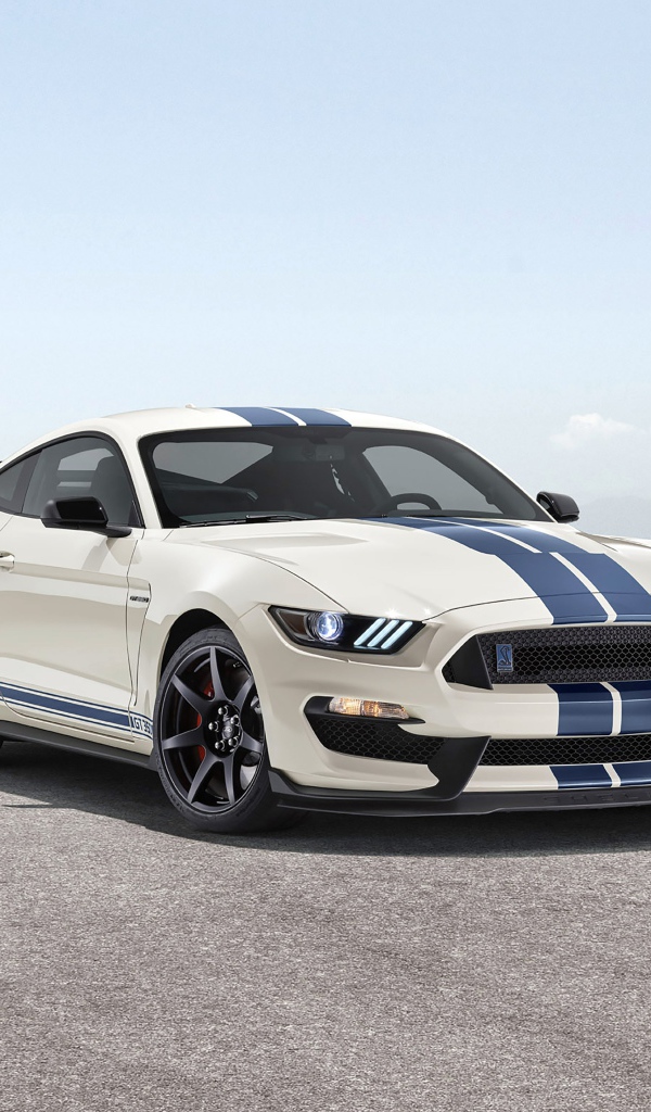 Гоночный автомобиль  Shelby GT350 Heritage Edition, 2020 года 