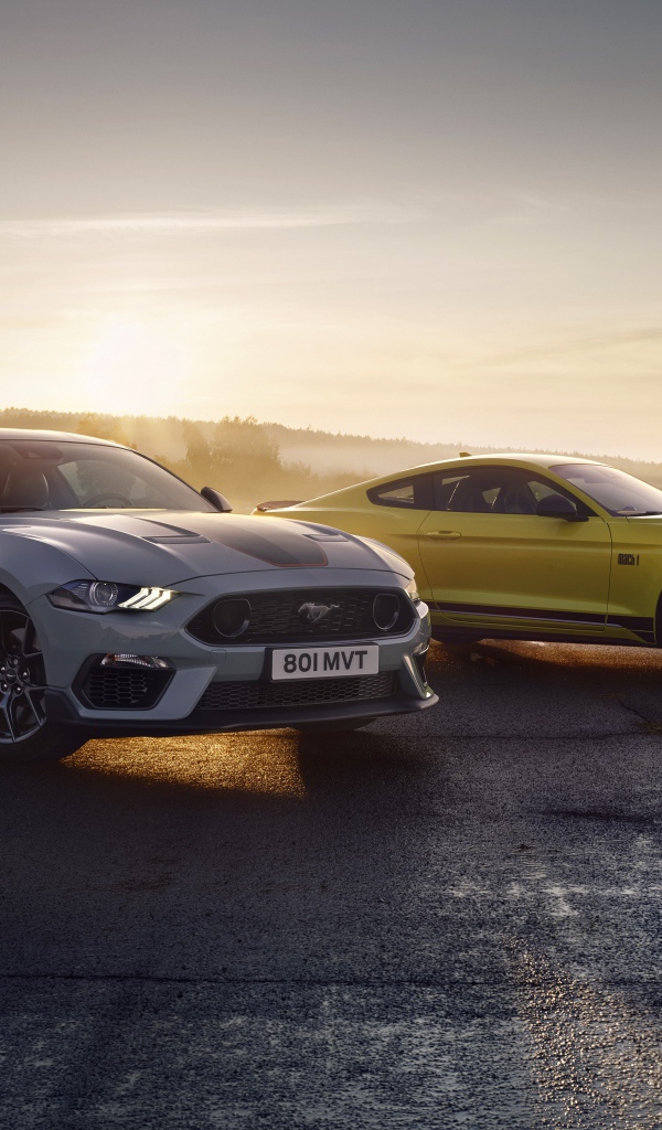 Два автомобиля Ford Mustang Mach 1 2021 года туманным утром