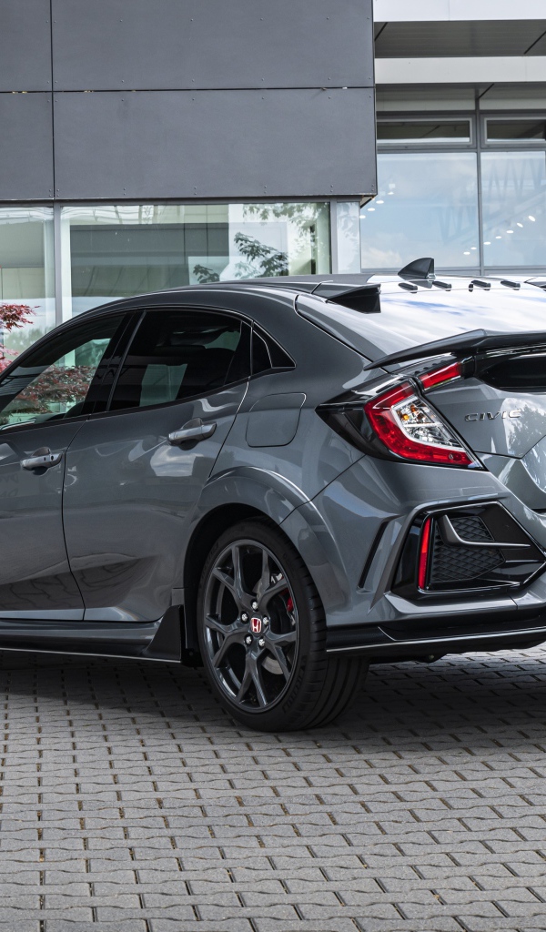 Серый автомобиль Honda Civic Type R Sport Line вид сзади