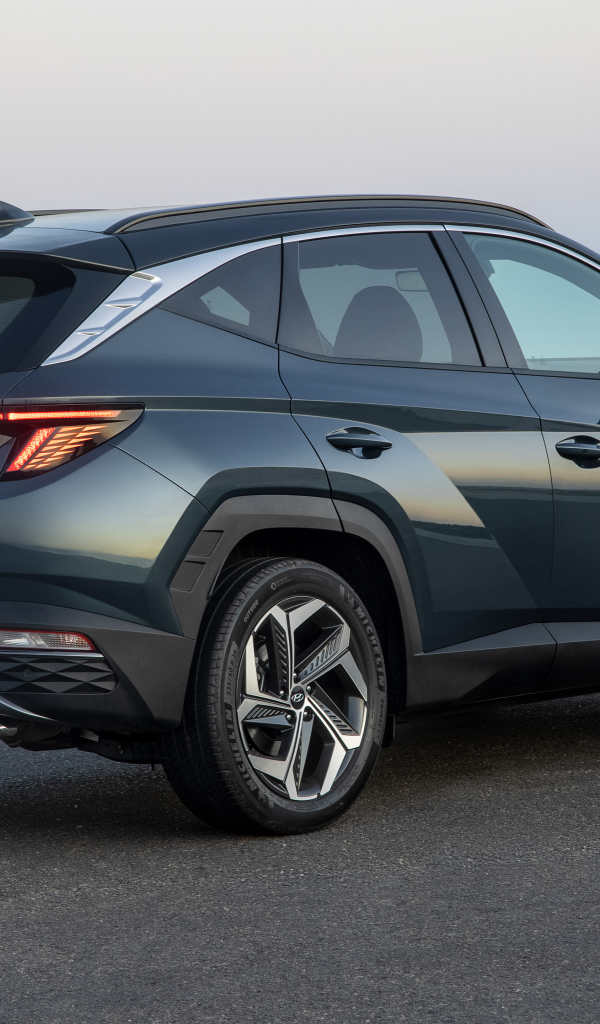 Внедорожник Hyundai Tucson Hybrid 2021 года вид сзади