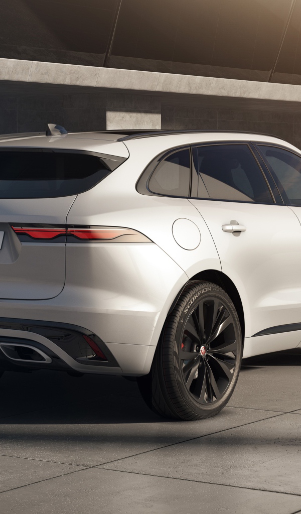 Автомобиль Jaguar F-Pace R-Dynamic Black Pack 2020 года вид сзади
