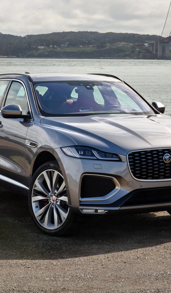 Серебристый автомобиль Jaguar F-Pace R-Dynamic 2020 года у реки 