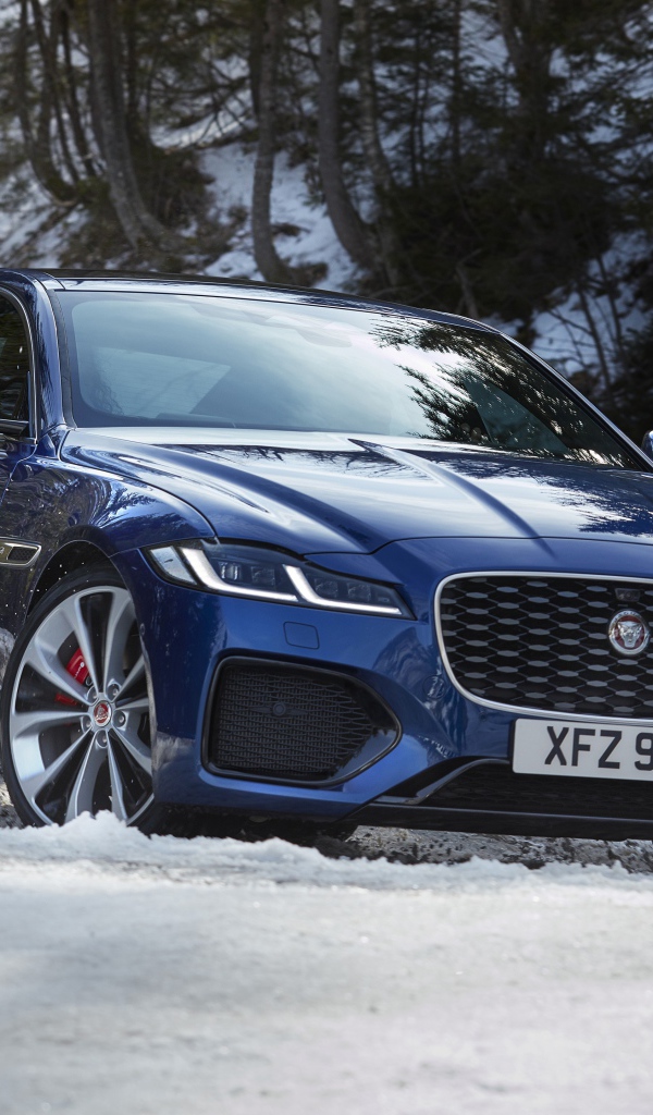 Синий Jaguar XF P300 AWD R-Dynamic 2020 года в заснеженном лесу 