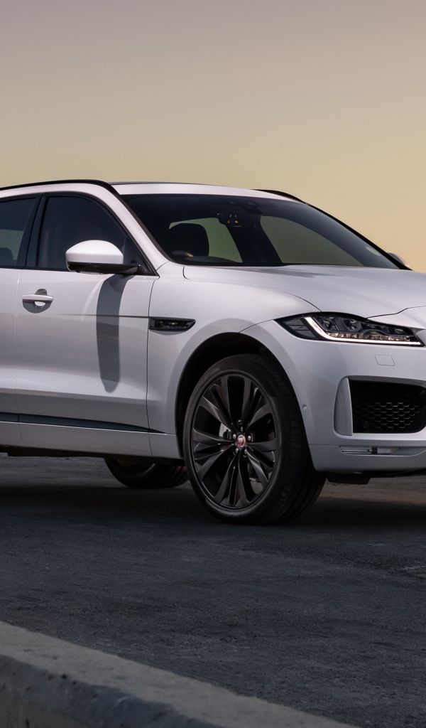Белый внедорожник Jaguar F-Pace 25d AWD Chequered Flag 2020 года у воды