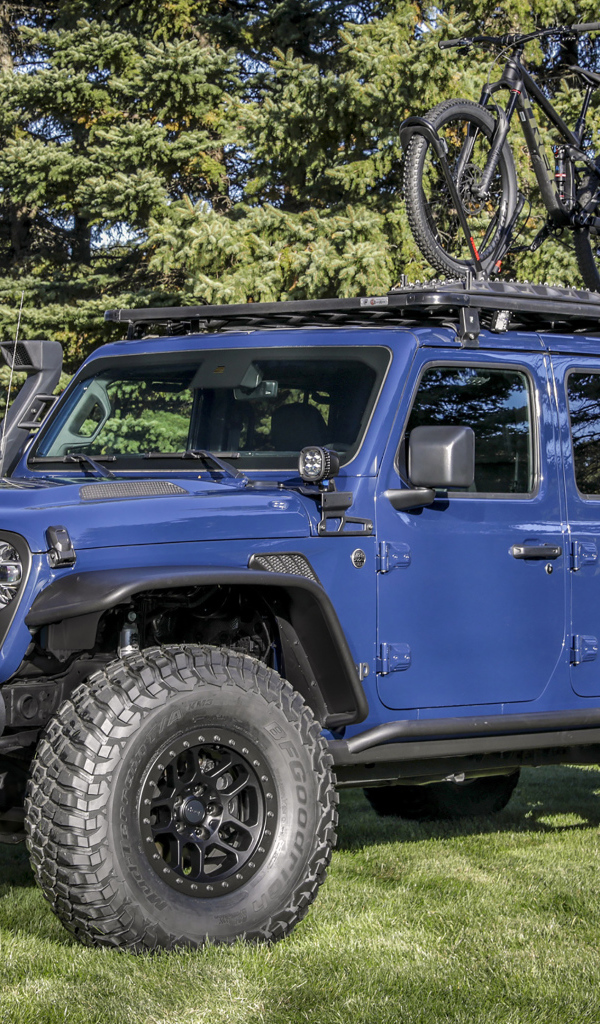 Внедорожник Jeep Gladiator, 2020 года в парке