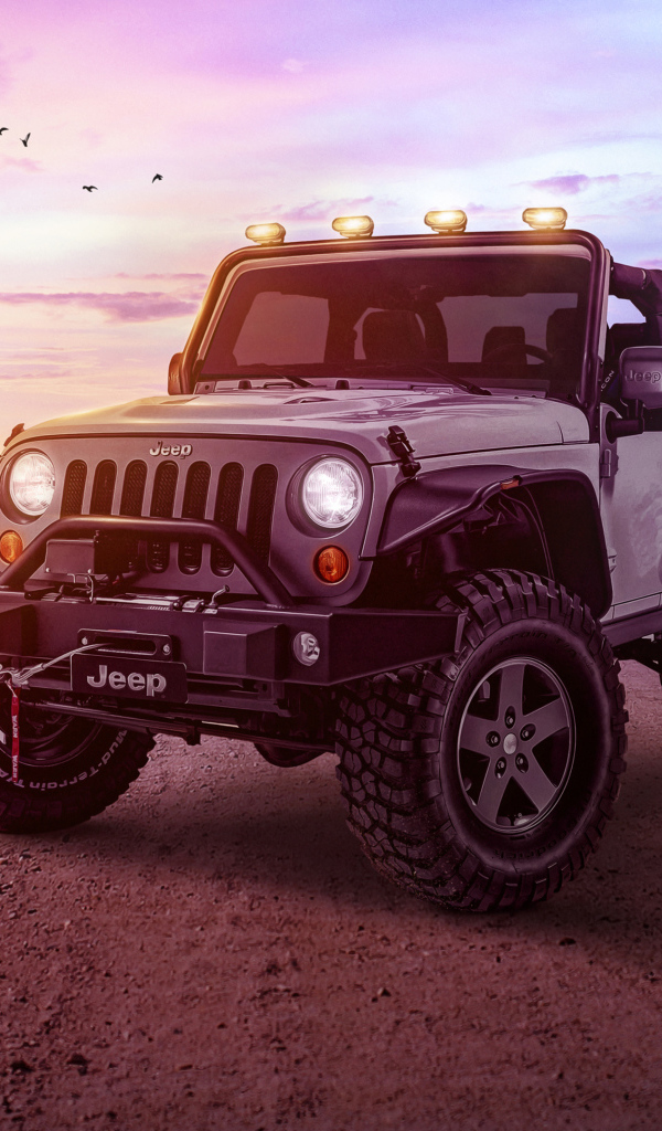 Внедорожник Jeep Wrangler на фоне неба 