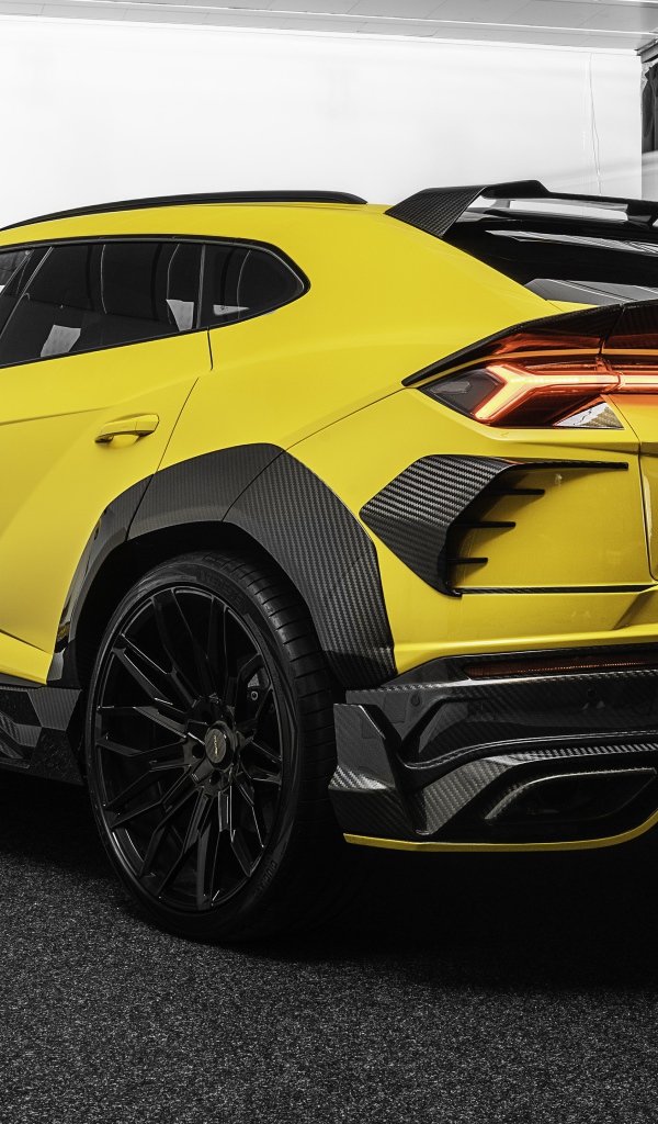 Желтый автомобиль  Lamborghini Keyrus 2020 года вид сзади 