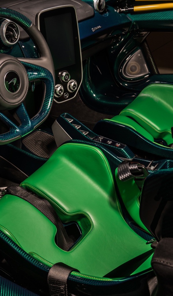Кожаный салон автомобиля McLaren Senna XP, 2019 года