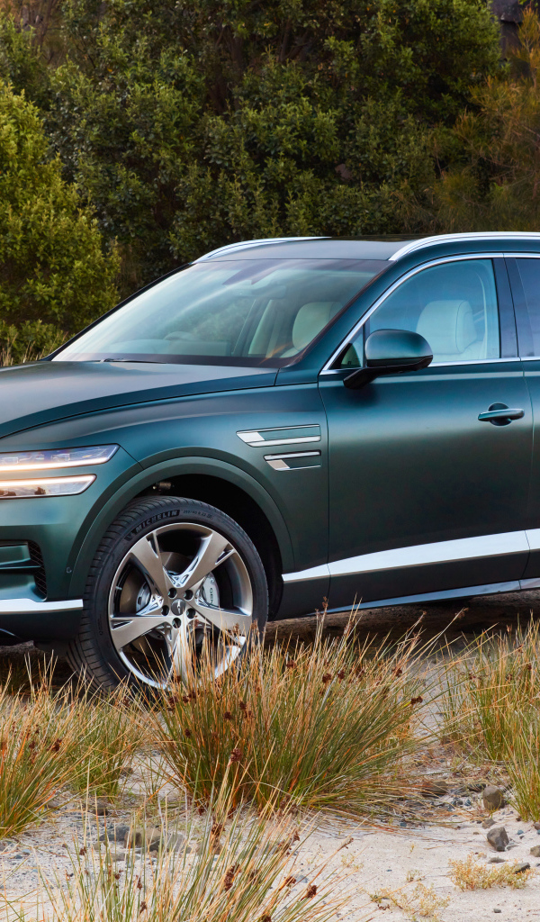 Автомобиль Genesis GV80 3.5T AWD 2020 года в траве