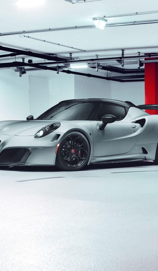 Серебристый Pogea Racing Nemesis 2020 года в гараже