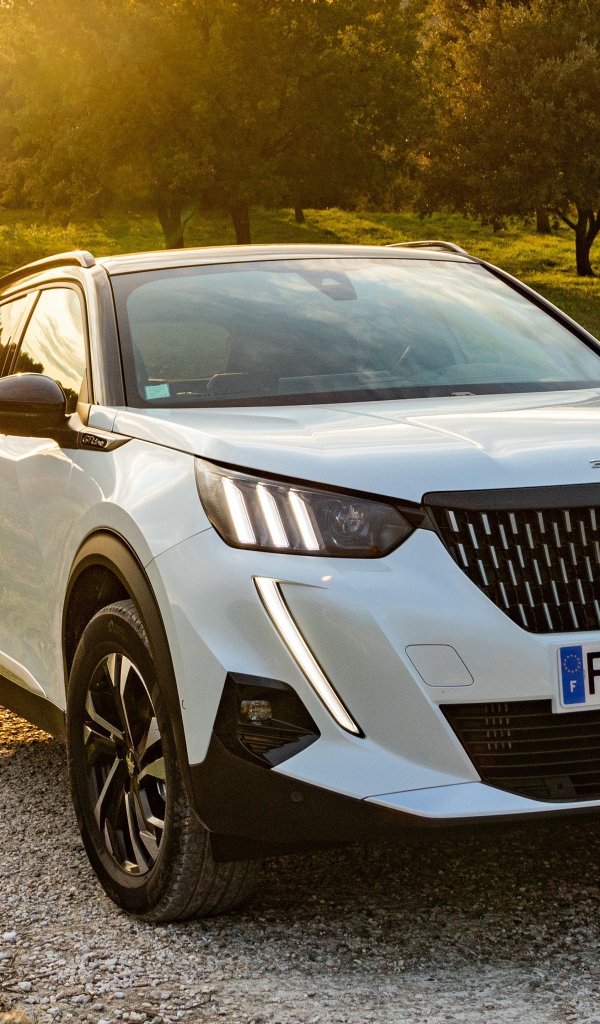 Белый внедорожник Peugeot 2008 GT Line 2019 года на дороге в лесу
