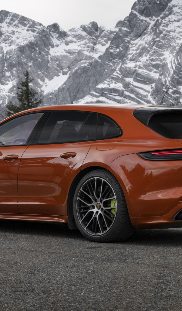 Красный автомобиль Porsche Panamera 4 E-Hybrid 2021 года на фоне гор