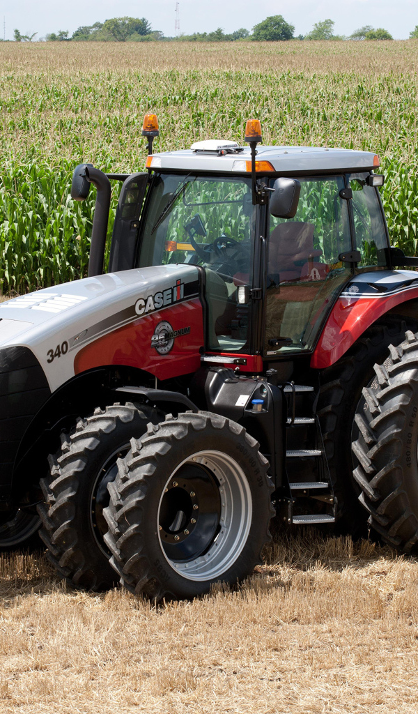 Трактор Case на кукурузном поле 