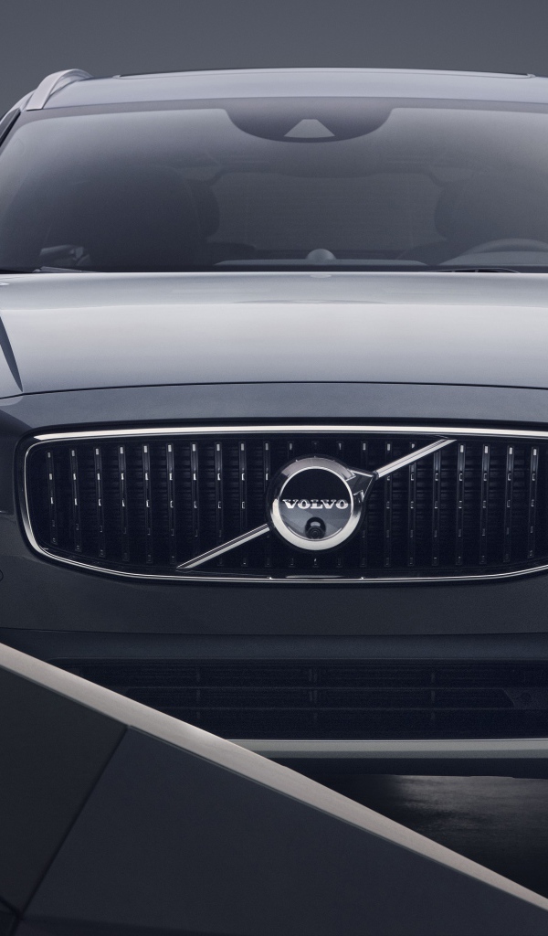 Богатый Volvo V90 B6 Cross Country 2020 года 