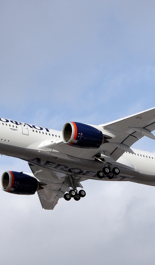 Aeroflot White Airbus A350-900 Passenger