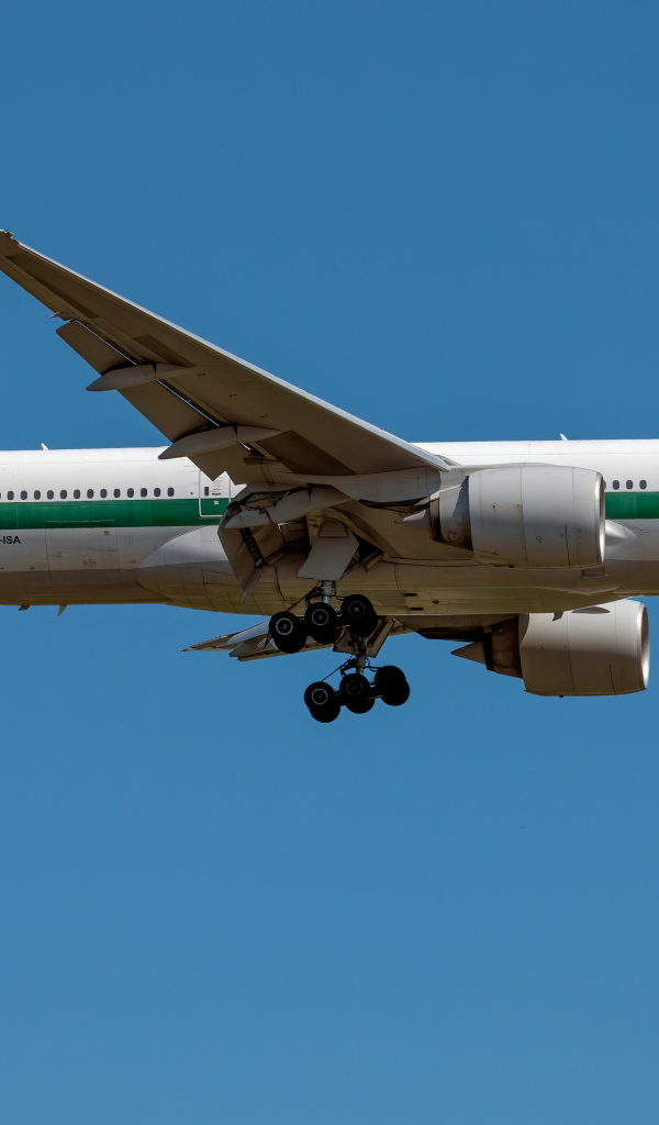 Пассажирский  самолет авиакомпании Alitalia в голубом небе 