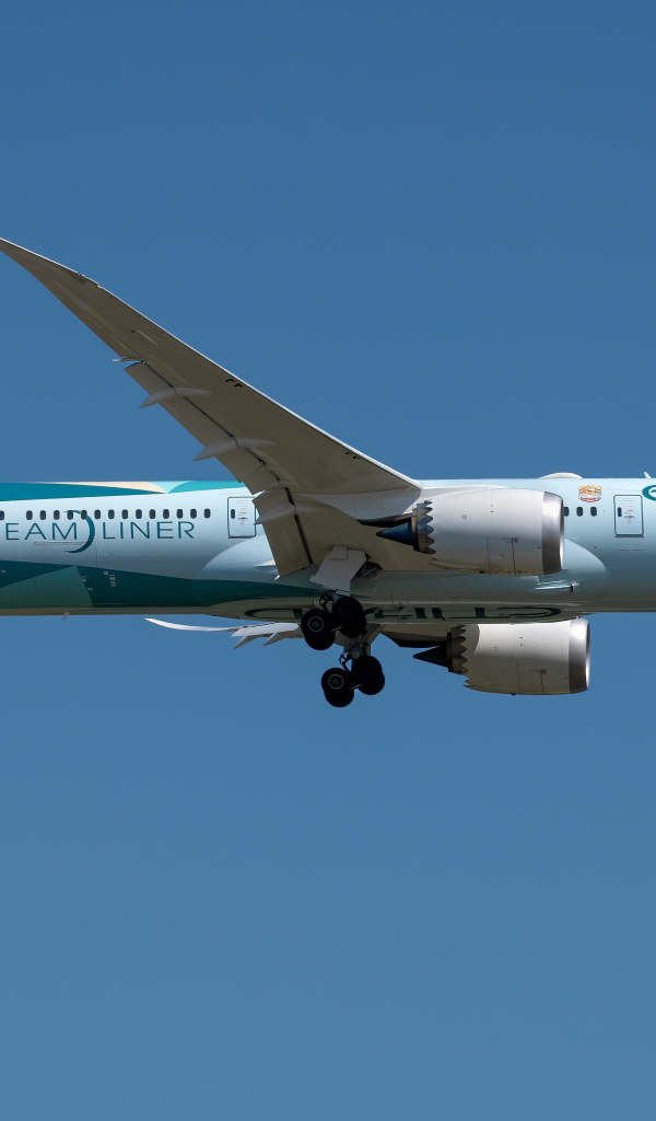 Пассажирский самолет авиакомпании  Dreamliner убирает шасси в небе 