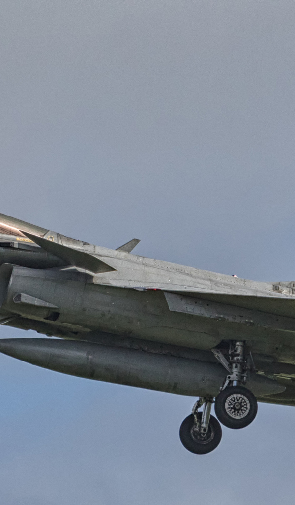 Истребитель French Navy Dassault Rafale M 10 в небе
