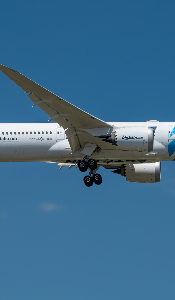 Большой пассажирский самолет взлетает в голубом небе