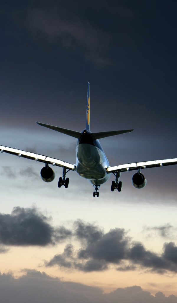 Большой самолет в небе с черными облаками 