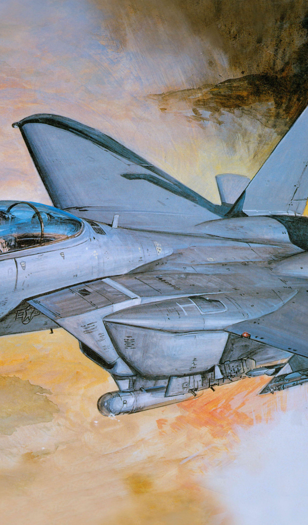 Серый военный самолет McDonnell Douglas