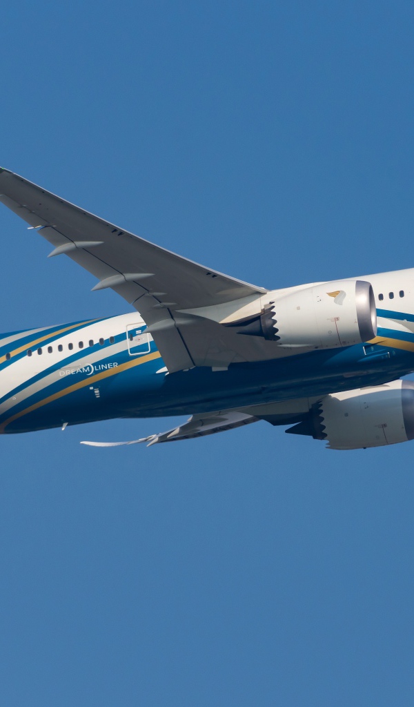 Oman Air passenger Boeing 787-8 in the blue sky
