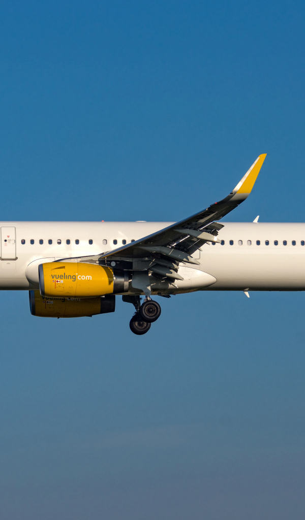 Пассажирский  Airbus A321-200S авиакомпании  Vueling в небе 