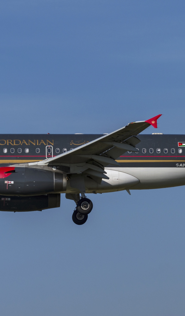 Пассажирский  Airbus A319-100 авиакомпании  Royal Jordanian в небе 