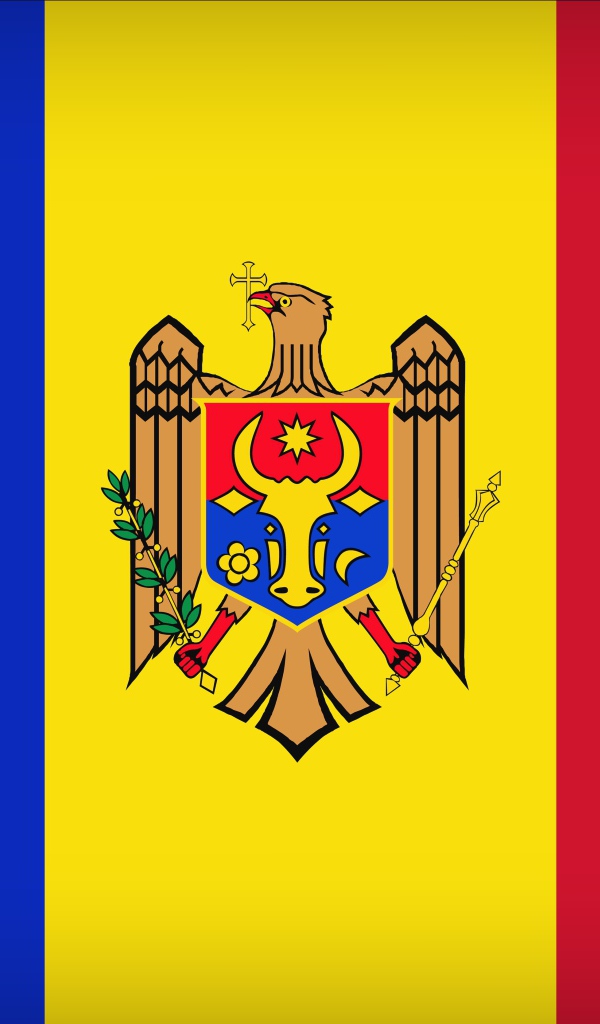 Трехцветный флаг Молдовы 