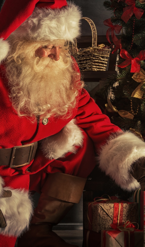 Санта Клаус прячет подарки под елкой на Рождество 