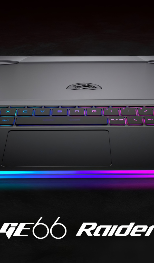 Новый тонкий игровой ноутбук MSI GE66 Raider, 2020