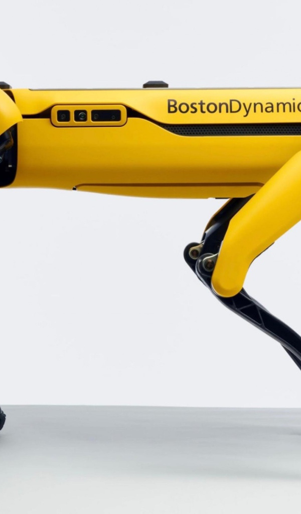 Желтый четвероногий робот Спот на белом фоне