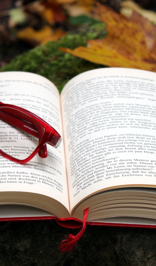 Книга с красными очками лежит на земле 