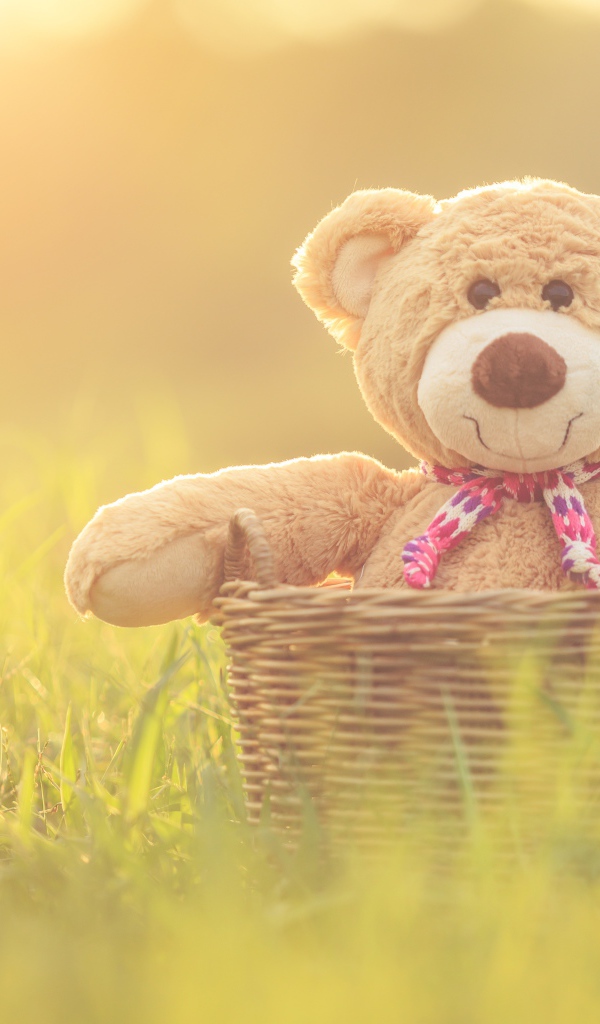 Плюшевый медведь в корзине стоит на зеленой траве