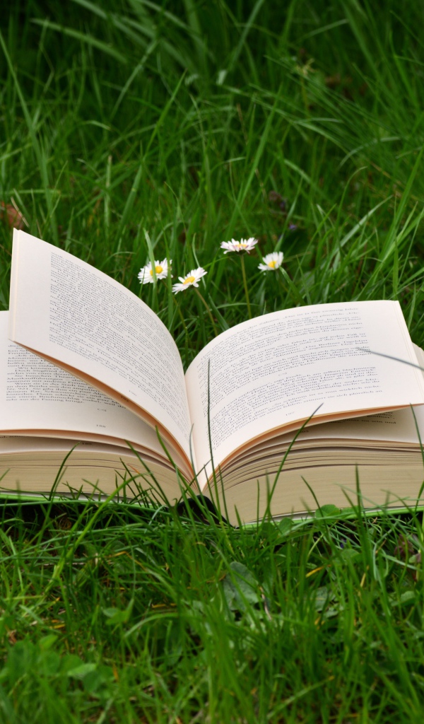 Открытая книга лежит на зеленой траве 