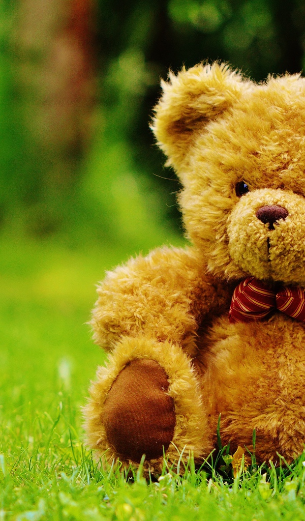 Красивый плюшевый медведь на зеленой траве 