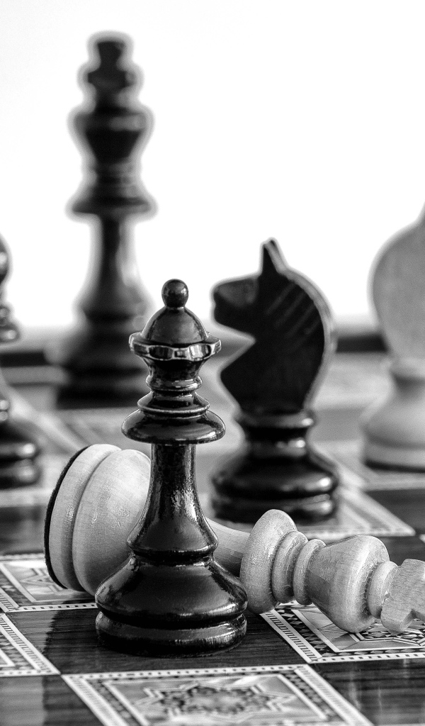 Черные и белые шахматные фигуры на доске 