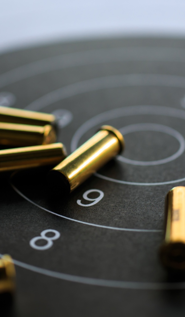 Мишень с патронами крупным планом 