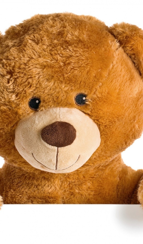 Милый плюшевый медвежонок на белом фоне