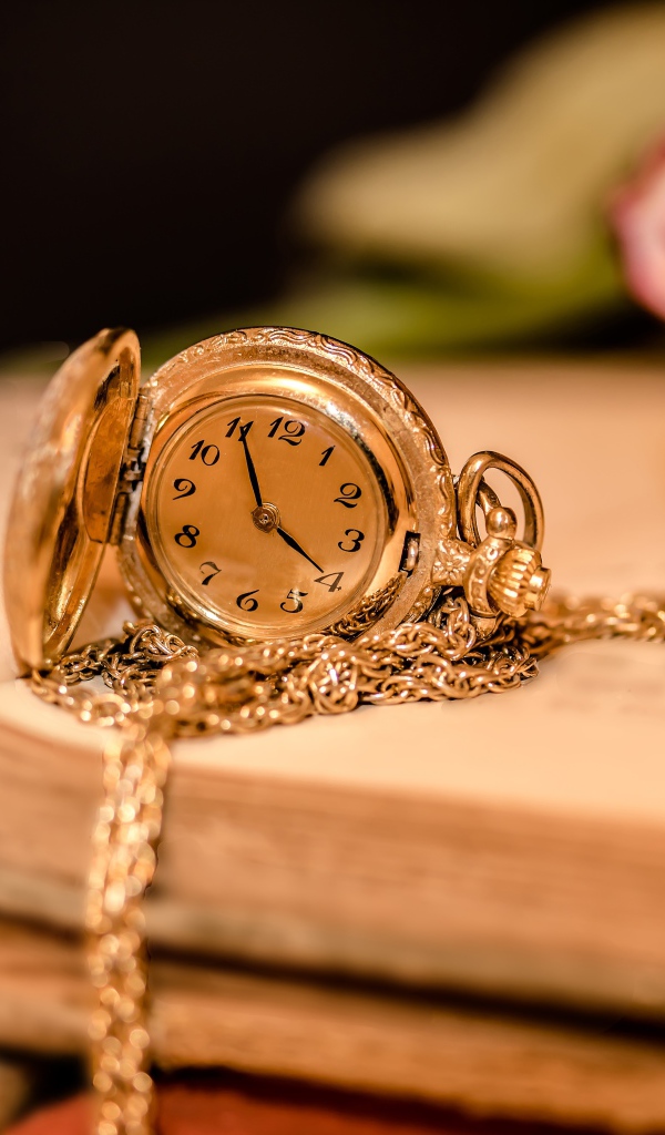 Золотые женские часы на цепочке лежат на книге