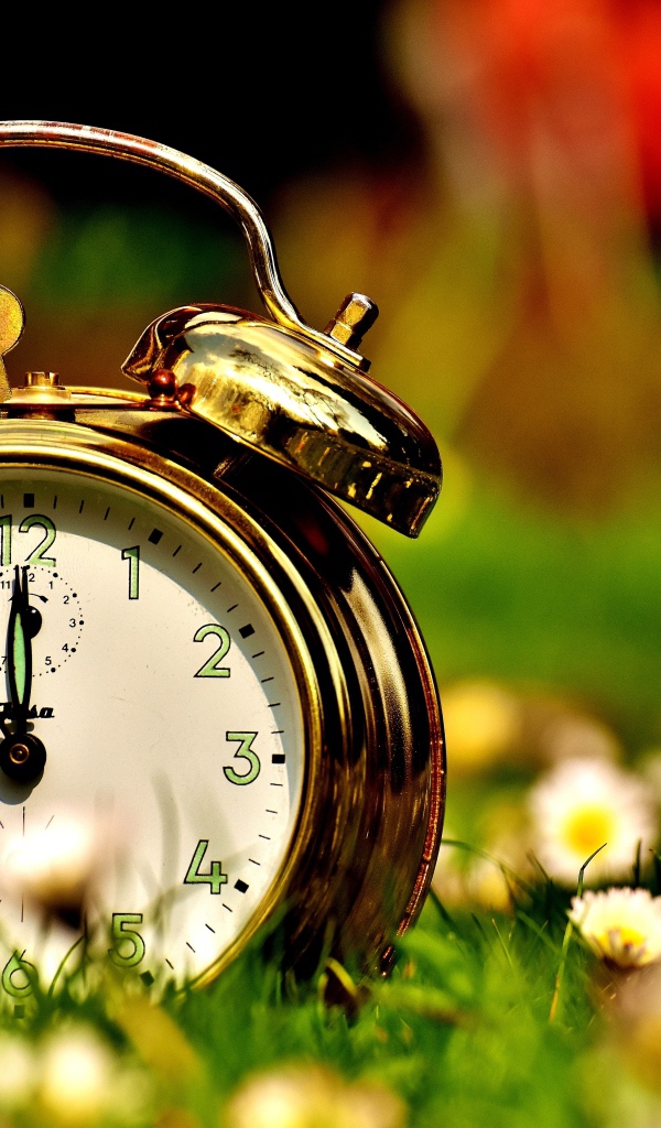 Золотистый будильник стоит на траве с маргаритками 