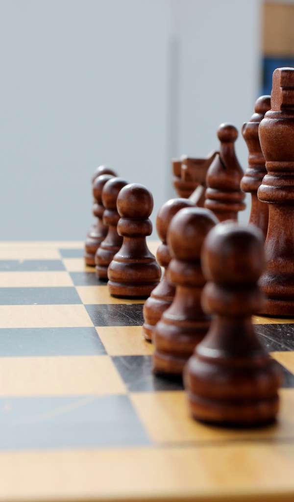 Большие деревянные шахматы на доске 