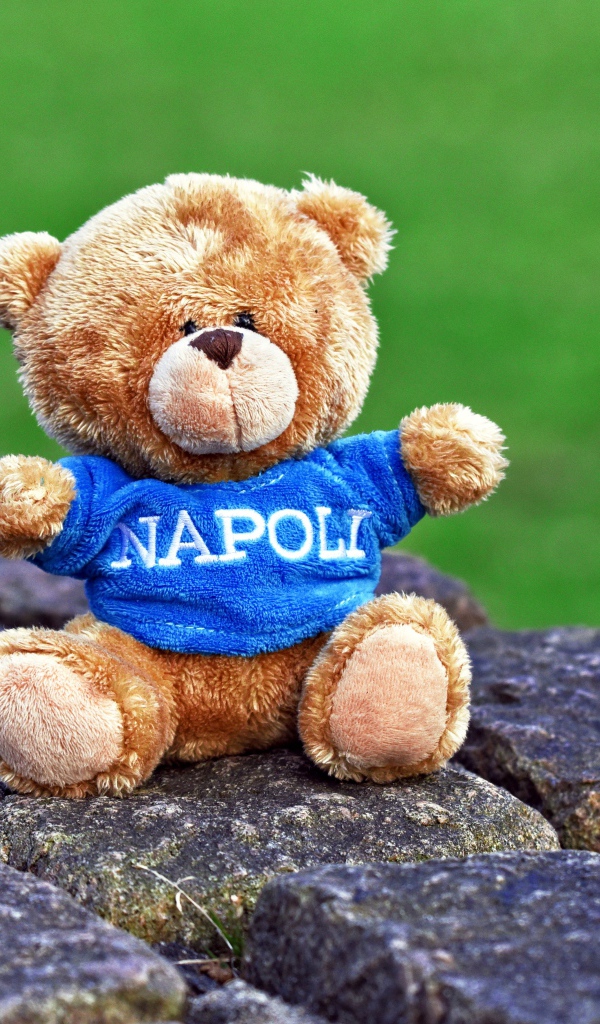 Маленький игрушечный медвежонок сидит на камнях 