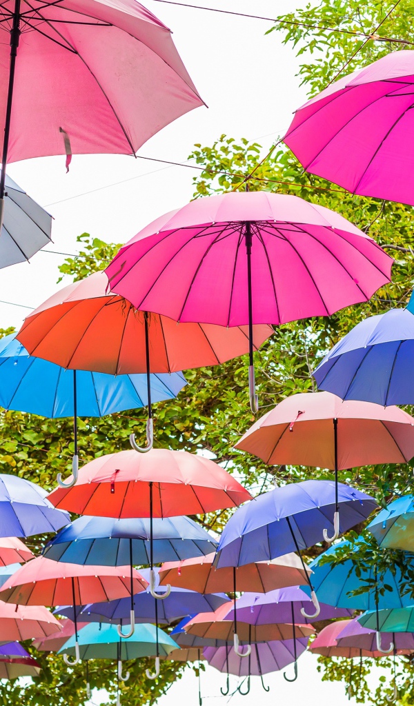 Много разноцветных зонтов в парке 