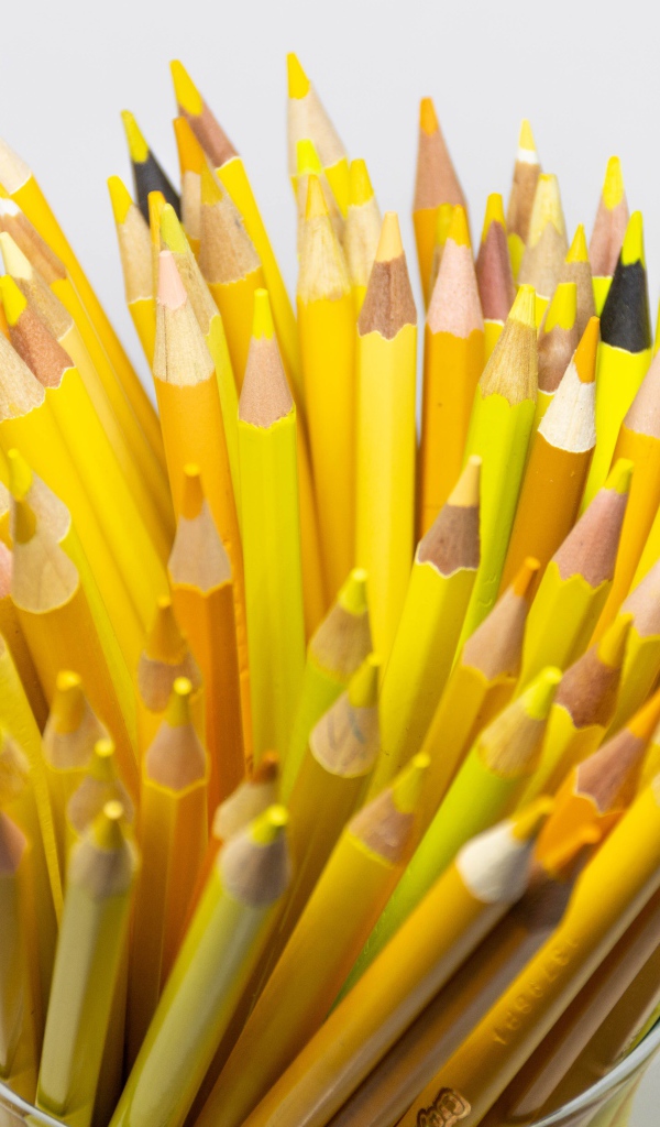 Много желтых карандашей на белом фоне крупным планом